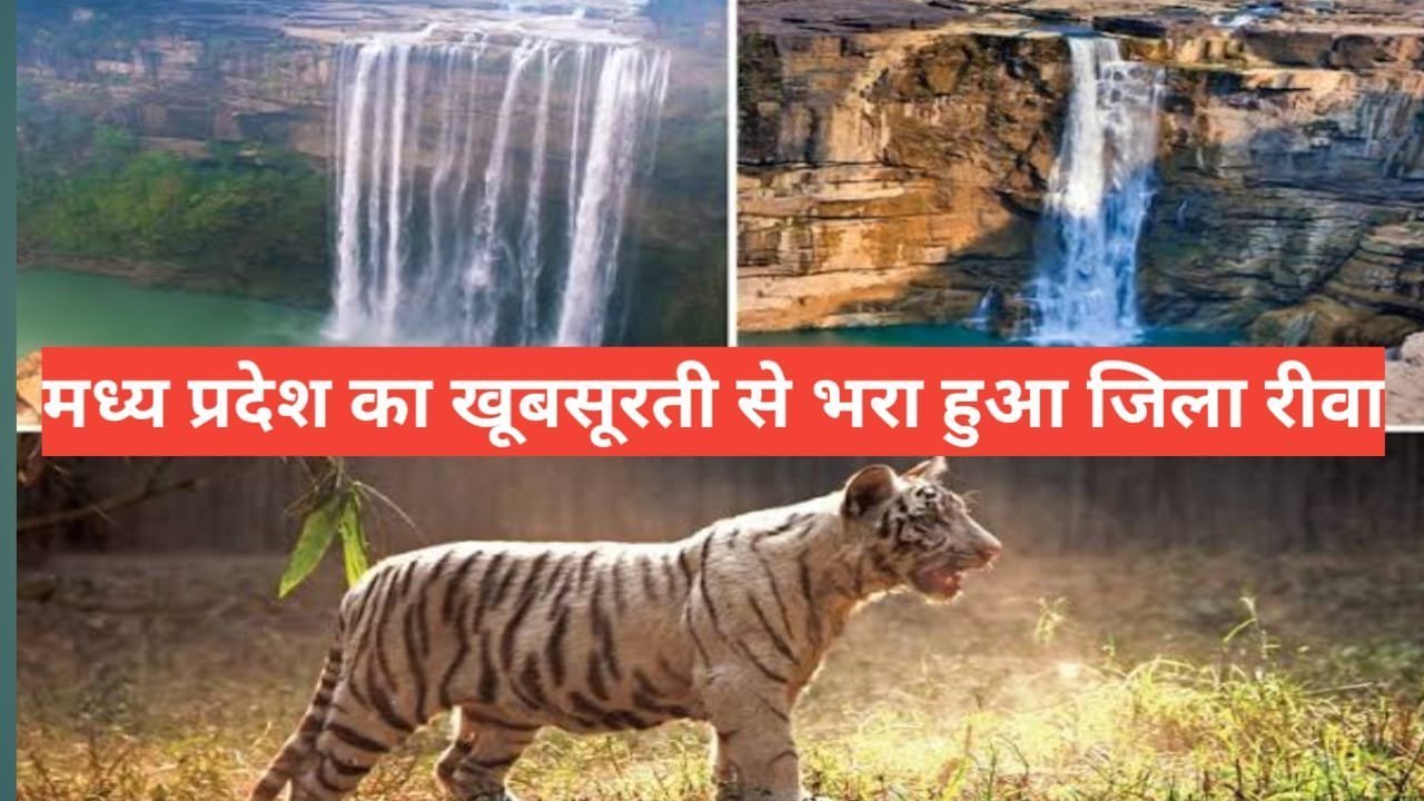 Rewa me ghumne ki jagah